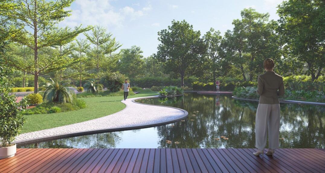 Ombre by Indraprasth